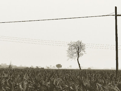 “E così siamo vita, e frontiera di questa terra, e cose nelle mani”: Gabriel Del&nbsp;Sarto