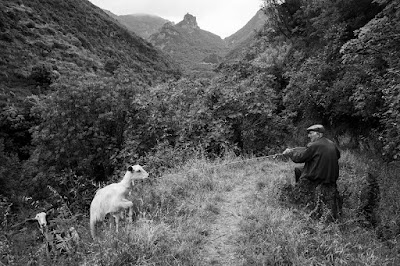 Breviario dei luoghi infranti (II) – dalla D alla&nbsp;F