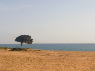 Come reti sospese sull’abisso: Fuad&nbsp;Rifka