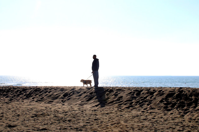 "Io non sono un luogo abitato / a tratti mi attraverso": Raffaele&nbsp;Niro