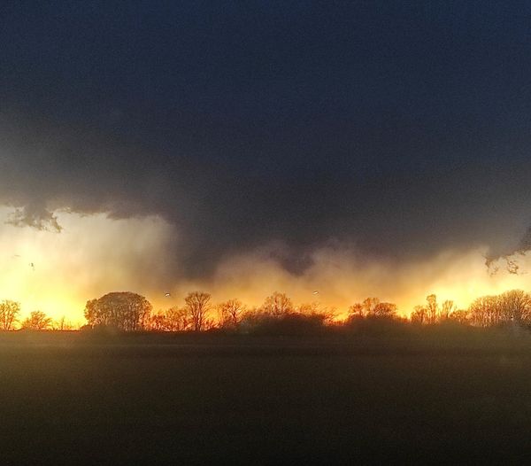 Paul Celan: il ritorno alla "soglia non&nbsp;rimossa"