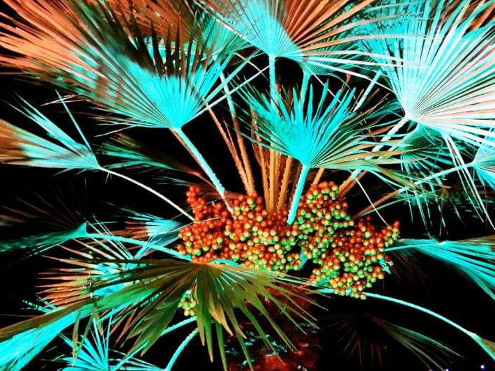 Commento a margine (XI): Luigi Finucci