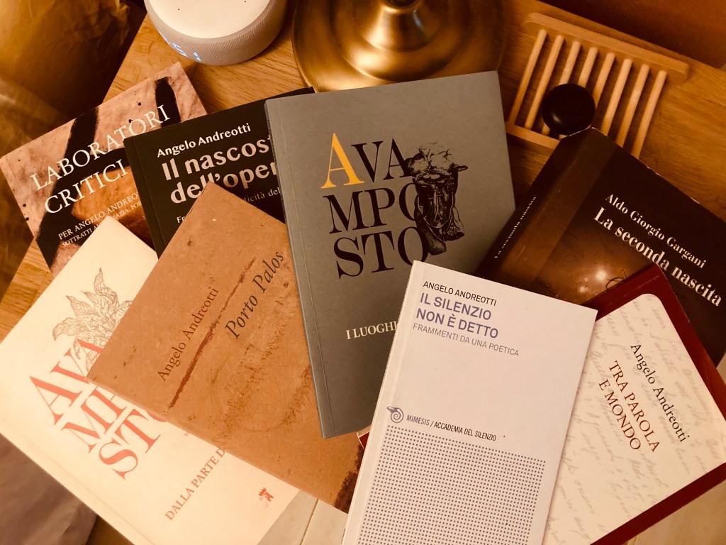 actinorizze (IV) – Sergio&nbsp;Bertolino