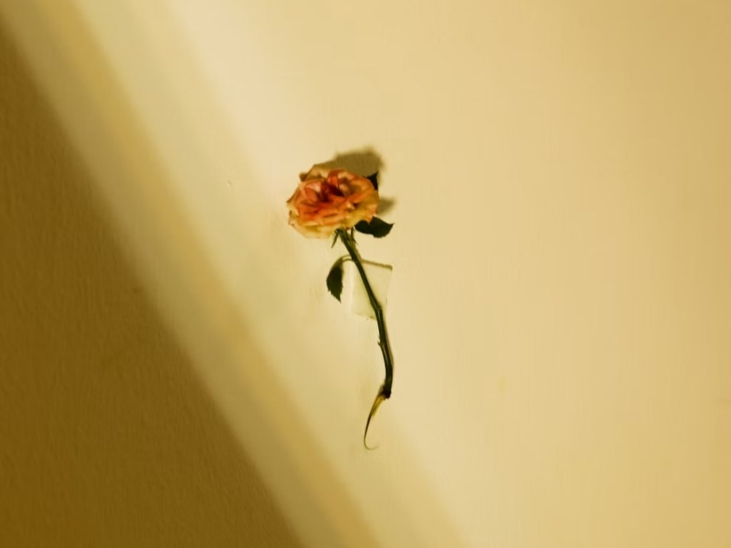 Poeti iraniani dal 1921 a&nbsp;oggi