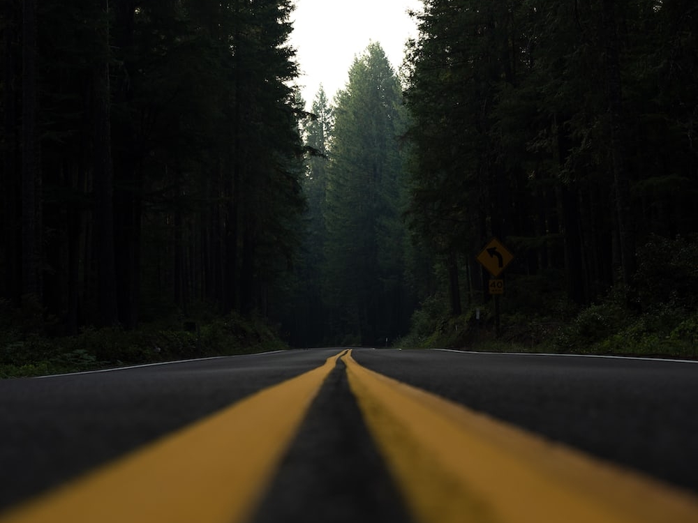 “Strano capire / che il tuo silenzio era proprio quel canto”: Denise Levertov