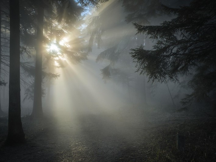 Gianni Criveller legge “La disciplina della nebbia” di Massimiliano Bardotti