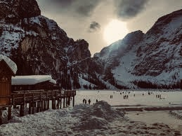 actinorizze (IX): Mauro&nbsp;Ferrari