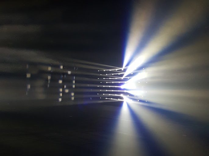 Il rigore di un assedio: Emilia Barbato legge Fabrizio&nbsp;Bregoli