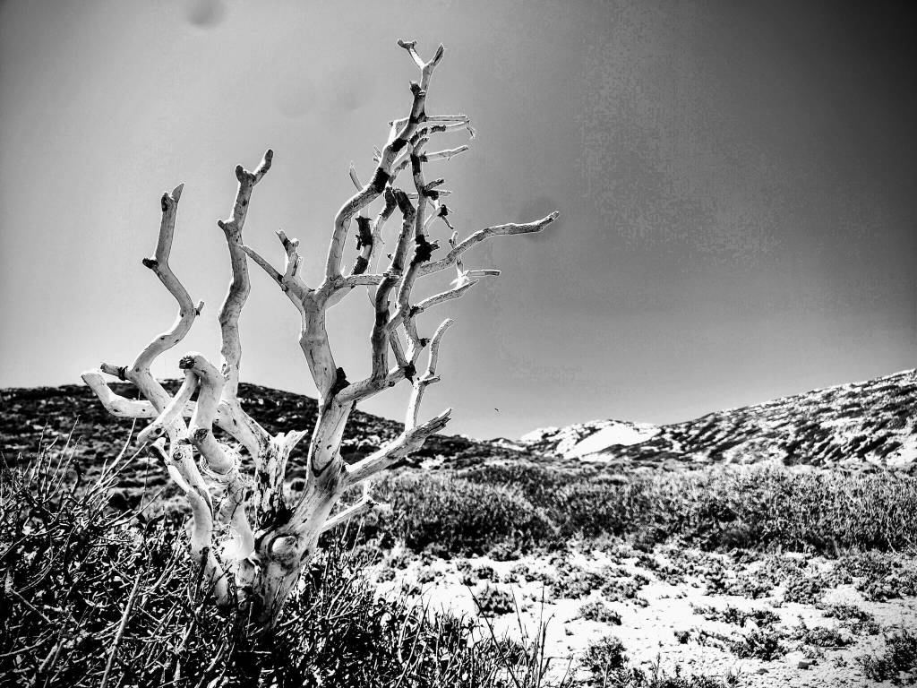 Commento a margine (XXII): Paola&nbsp;Mancinelli