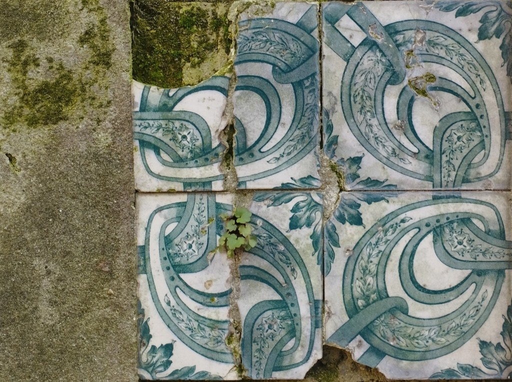 Occaso: voci poetiche dal Portogallo (XXXIV) – Luís de&nbsp;Camões