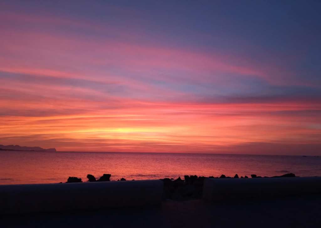 Commento a margine (XXIII): Tamara&nbsp;Vitan