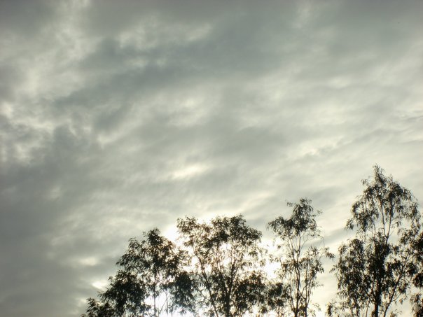 Commento a margine (XXV): Paola&nbsp;Ballerini