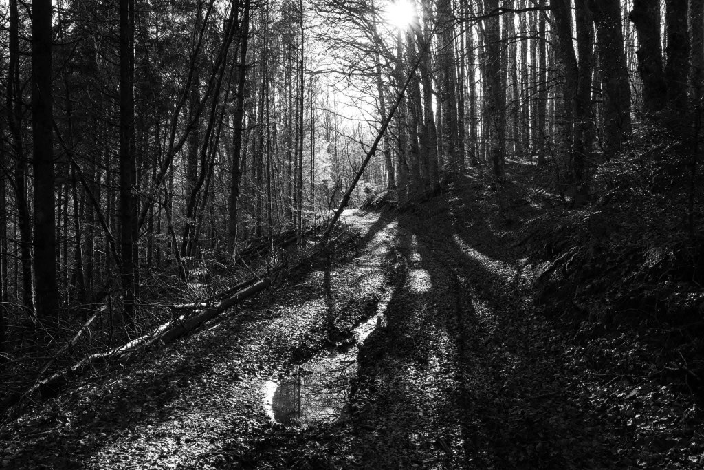 “Il passero bianco”: Sofia&nbsp;Fiorini