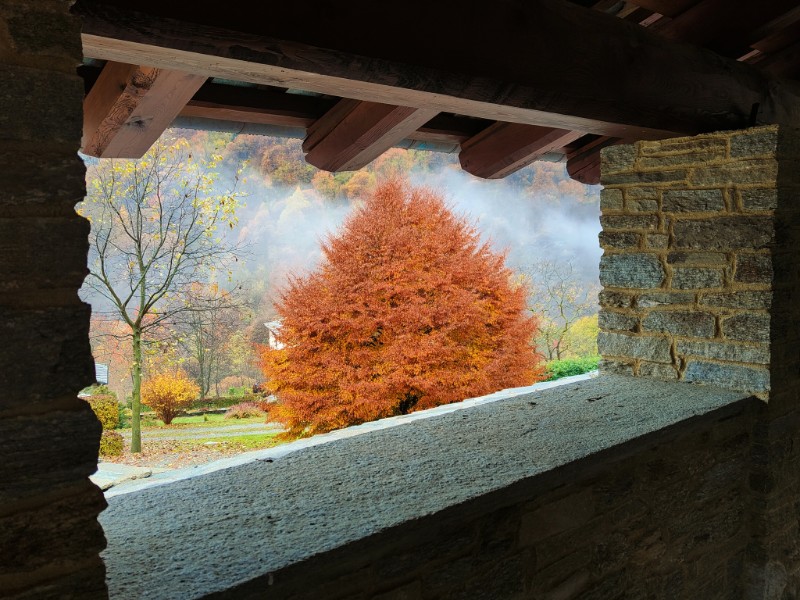 “Amore salva Dio”: Anila&nbsp;Hanxhari