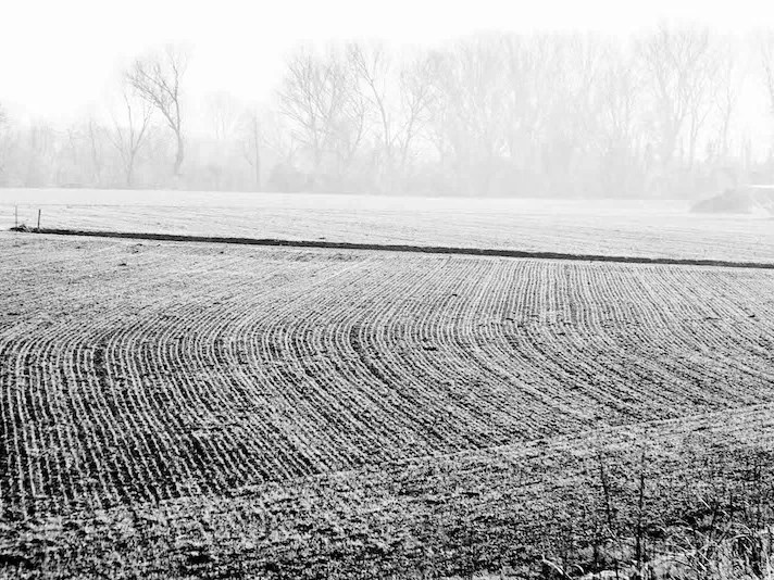 Stefano Lorefice: “… per contrade forse abbandonate”